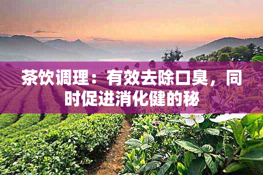 茶饮调理：有效去除口臭，同时促进消化健的秘