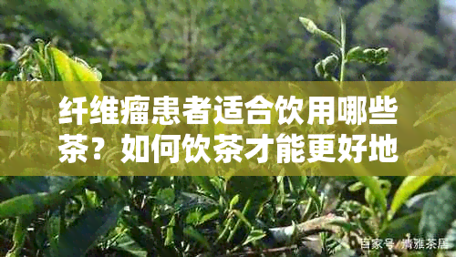 纤维瘤患者适合饮用哪些茶？如何饮茶才能更好地辅助治疗纤维瘤？