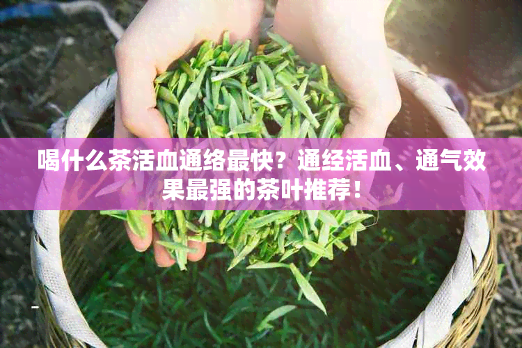 喝什么茶活血通络最快？通经活血、通气效果最强的茶叶推荐！