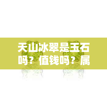 天山冰翠是玉石吗？值钱吗？属于什么档次？可以长期佩戴吗？都是注胶的吗？