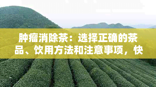 肿瘤消除茶：选择正确的茶品、饮用方法和注意事项，快速恢复健