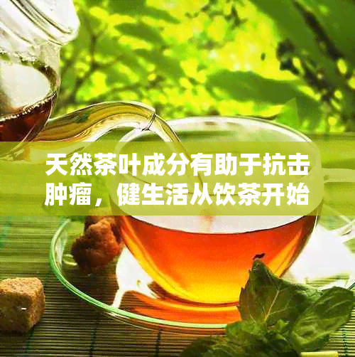 天然茶叶成分有助于抗击肿瘤，健生活从饮茶开始