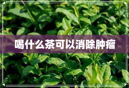 喝什么茶可以消除肿瘤