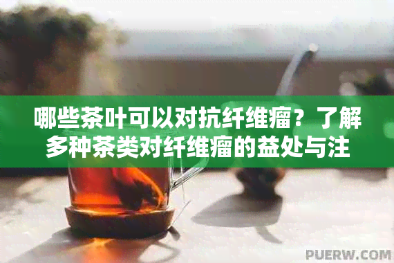 哪些茶叶可以对抗纤维瘤？了解多种茶类对纤维瘤的益处与注意事项