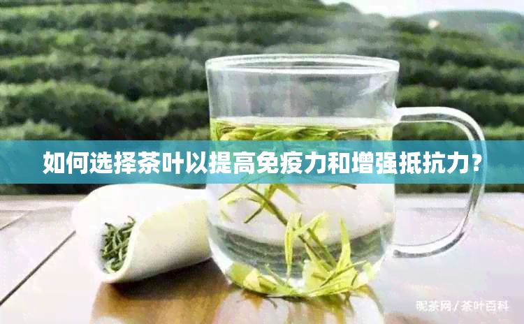 如何选择茶叶以提高免疫力和增强抵抗力？