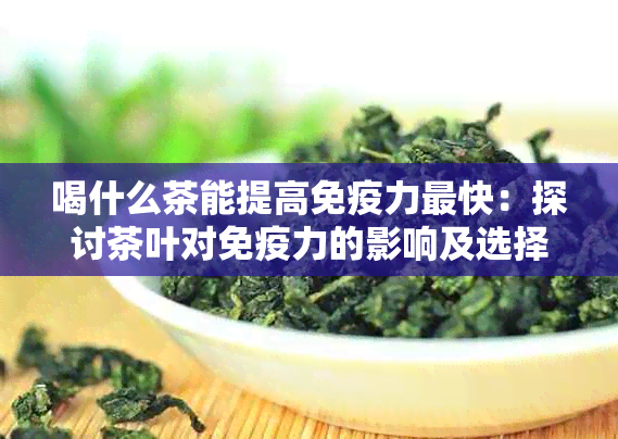 喝什么茶能提高免疫力最快：探讨茶叶对免疫力的影响及选择