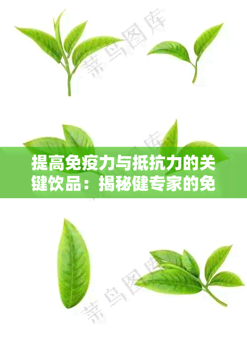 提高免疫力与抵抗力的关键饮品：揭秘健专家的免疫增强方案