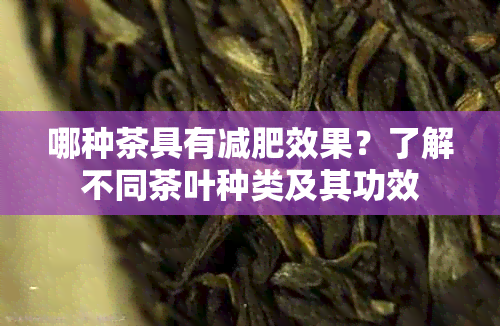 哪种茶具有减肥效果？了解不同茶叶种类及其功效