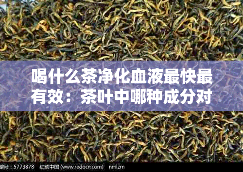 喝什么茶净化血液最快最有效：茶叶中哪种成分对净化血液最有效？