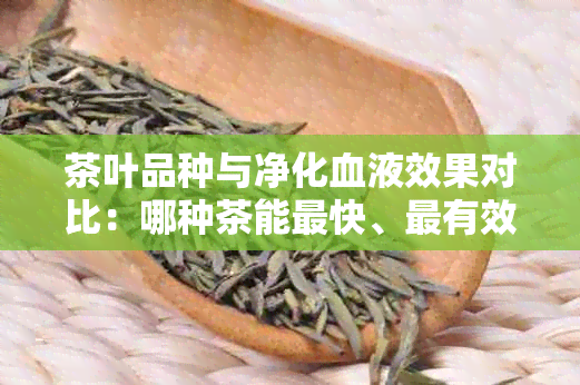 茶叶品种与净化血液效果对比：哪种茶能最快、最有效地净化血液？