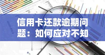 信用卡还款逾期问题：如何应对不知情情况下的处理挑战