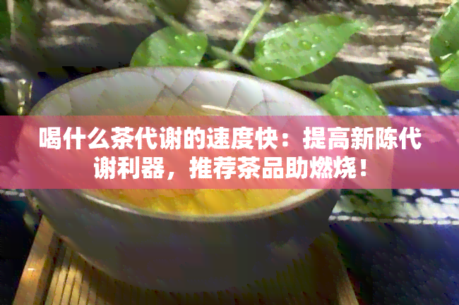 喝什么茶代谢的速度快：提高新陈代谢利器，推荐茶品助燃烧！