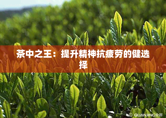 茶中之王：提升精神抗疲劳的健选择