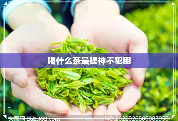 喝什么茶最提神不犯困