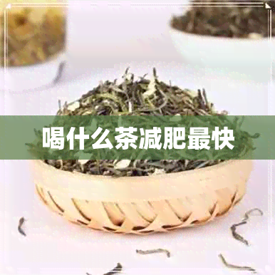 喝什么茶减肥最快