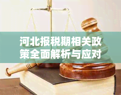 河北报税期相关政策全面解析与应对指南，助您轻松度过税务挑战