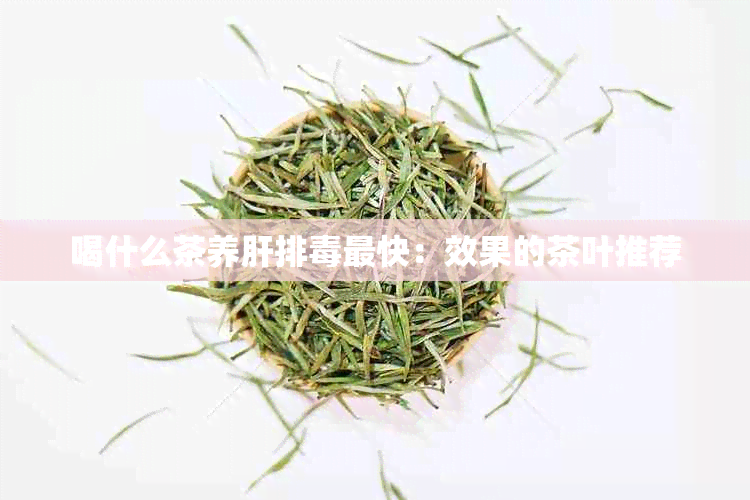 喝什么茶养肝排最快：效果的茶叶推荐