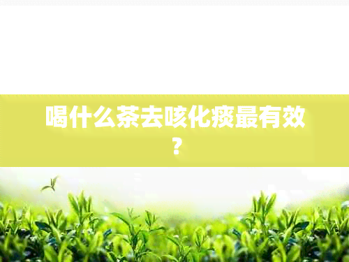 喝什么茶去咳化痰最有效？