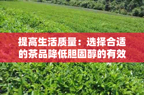 提高生活质量：选择合适的茶品降低胆固醇的有效方法