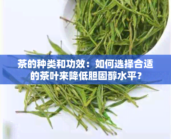 茶的种类和功效：如何选择合适的茶叶来降低胆固醇水平？