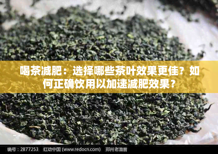 喝茶减肥：选择哪些茶叶效果更佳？如何正确饮用以加速减肥效果？