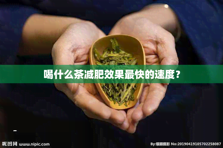 喝什么茶减肥效果最快的速度？