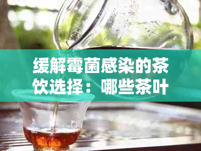 缓解霉菌感染的茶饮选择：哪些茶叶可以有效对抗真菌？