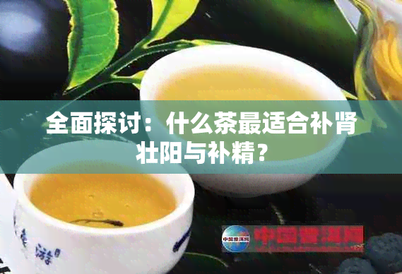 全面探讨：什么茶最适合补肾壮阳与补精？