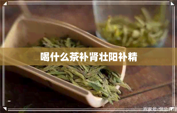 喝什么茶补肾壮阳补精