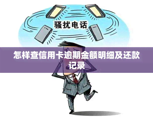 怎样查信用卡逾期金额明细及还款记录