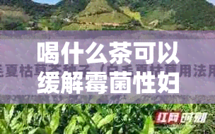 喝什么茶可以缓解霉菌性妇科炎症？——全面解析有效饮品及预防策略