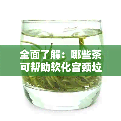 全面了解：哪些茶可帮助软化宫颈垃圾？如何选择最适合您的茶品？