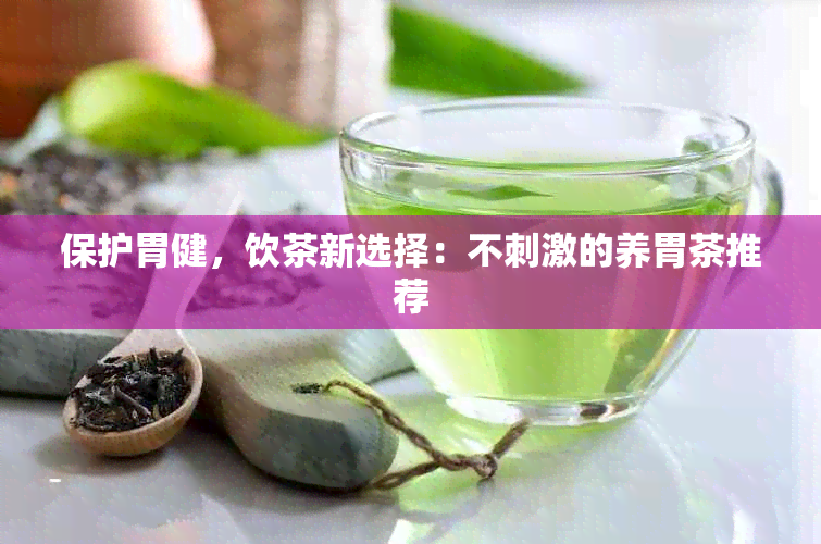 保护胃健，饮茶新选择：不刺激的养胃茶推荐