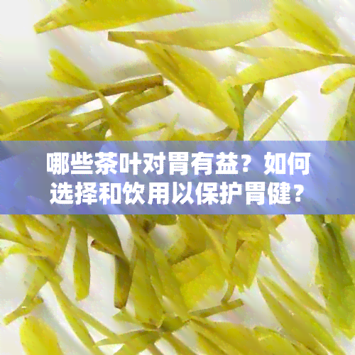 哪些茶叶对胃有益？如何选择和饮用以保护胃健？