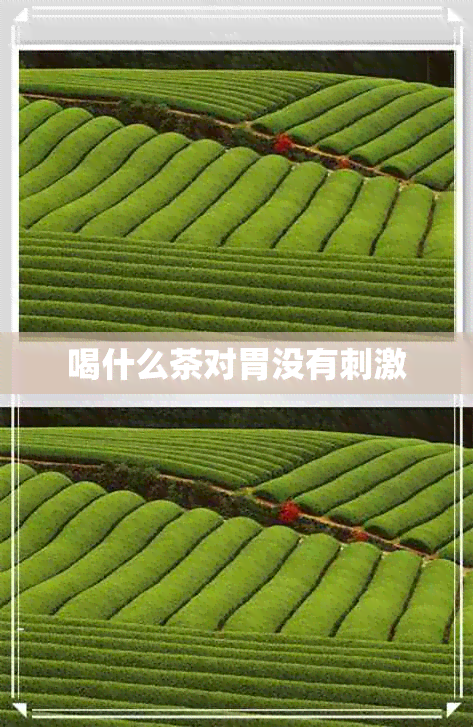 喝什么茶对胃没有刺激