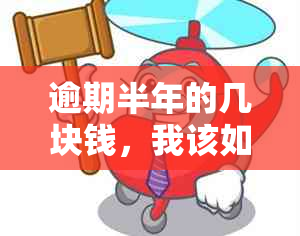 逾期半年的几块钱，我该如何处理？这里有全面的解决方案！