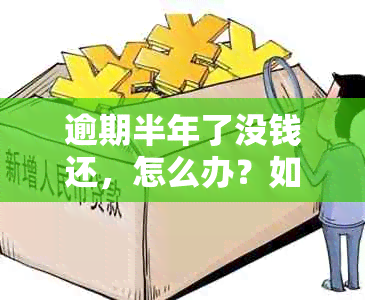 逾期半年了没钱还，怎么办？如何处理网贷逾期问题？