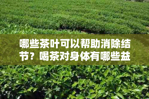 哪些茶叶可以帮助消除结节？喝茶对身体有哪些益处和注意事项？