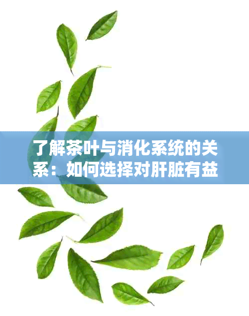 了解茶叶与消化系统的关系：如何选择对肝脏有益的茶饮来调节肝火旺