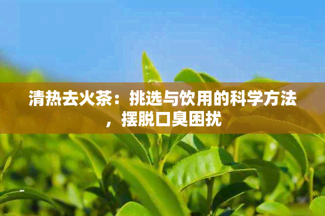 清热去火茶：挑选与饮用的科学方法，摆脱口臭困扰