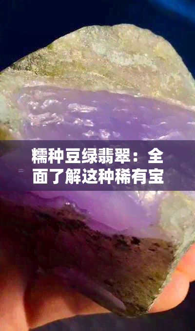 糯种豆绿翡翠：全面了解这种稀有宝石的特性、选购与保养方法