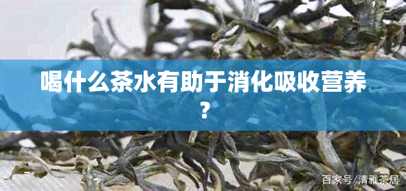 喝什么茶水有助于消化吸收营养？