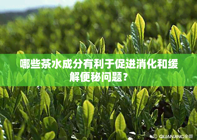 哪些茶水成分有利于促进消化和缓解便秘问题？