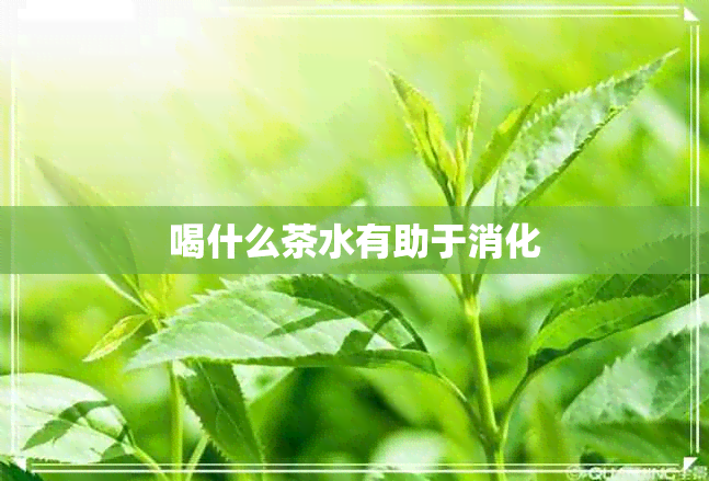 喝什么茶水有助于消化