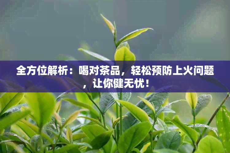 全方位解析：喝对茶品，轻松预防上火问题，让你健无忧！