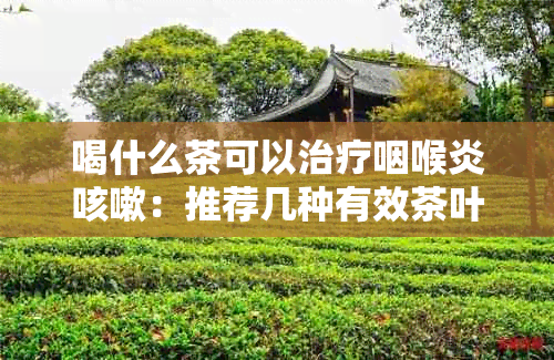 喝什么茶可以治疗咽喉炎咳嗽：推荐几种有效茶叶