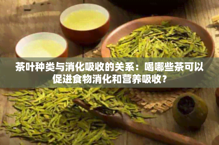 茶叶种类与消化吸收的关系：喝哪些茶可以促进食物消化和营养吸收？