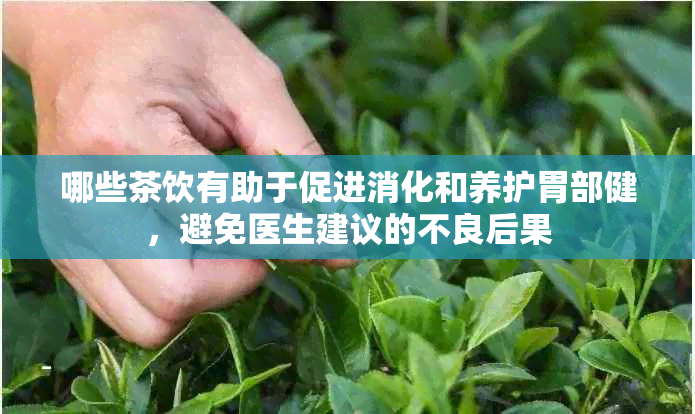 哪些茶饮有助于促进消化和养护胃部健，避免医生建议的不良后果