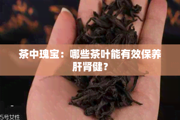 茶中瑰宝：哪些茶叶能有效保养肝肾健？