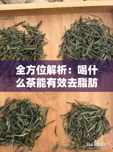 全方位解析：喝什么茶能有效去脂肪？了解各种茶叶的功效与适用场景